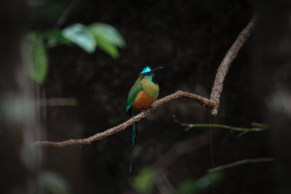 les bienfaits de l'entraînement en groupe dans votre pratique du fitness
